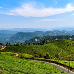 Munnar 3