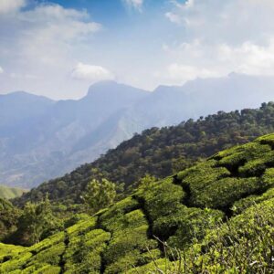 Munnar