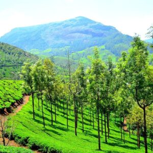 Munnar Hill station