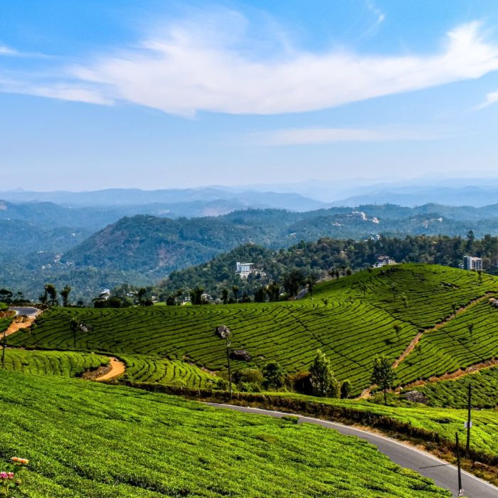Munnar 3