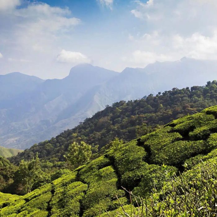 Munnar
